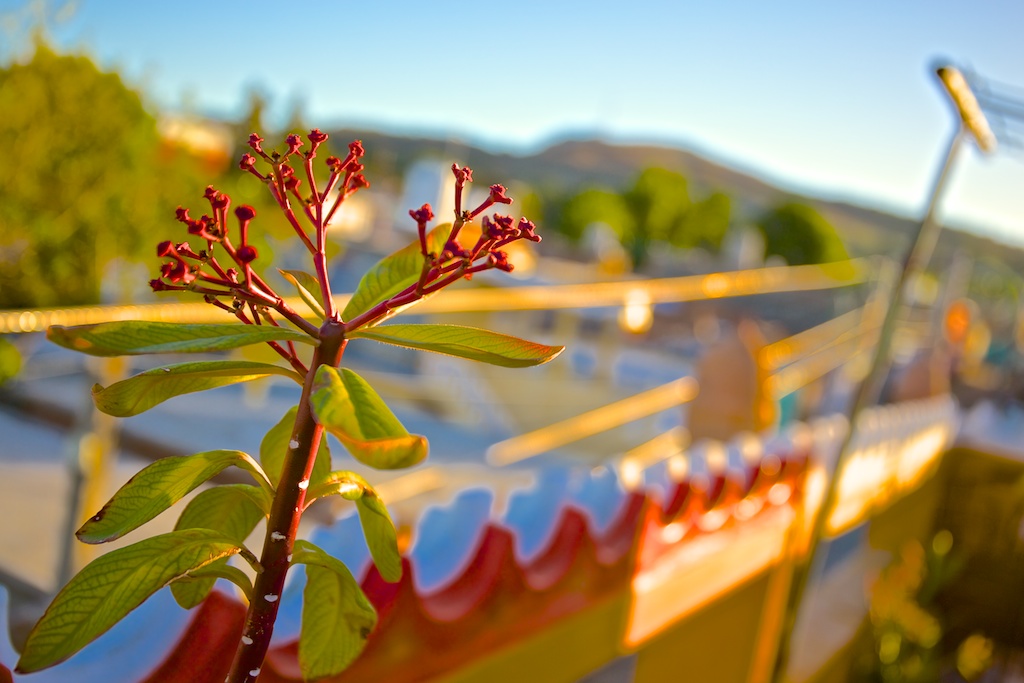 f:id:meltdown_int:20160918212639j:plain