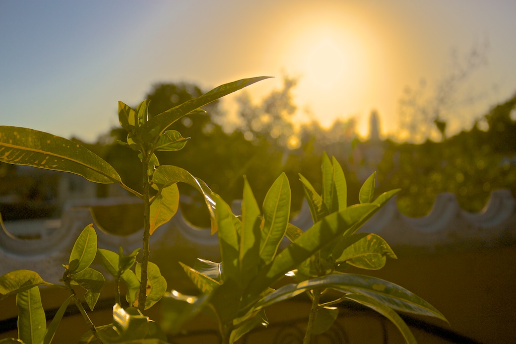 f:id:meltdown_int:20160918212643j:plain