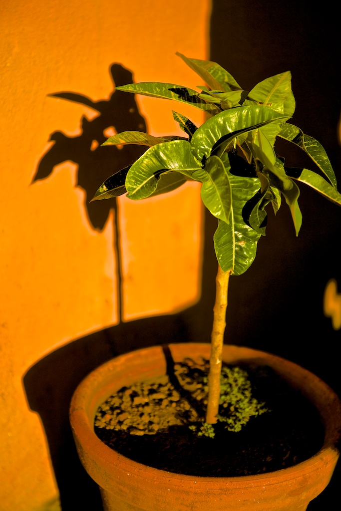 f:id:meltdown_int:20160918212651j:plain