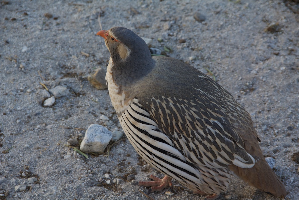 f:id:meltdown_int:20161209114414j:plain