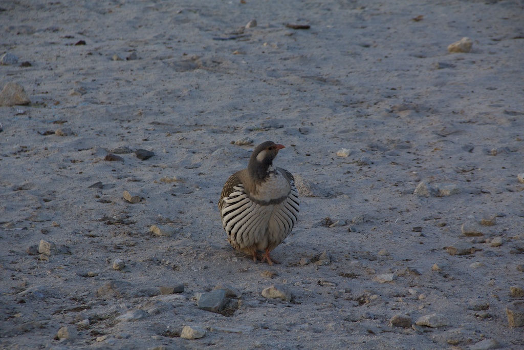 f:id:meltdown_int:20161209114416j:plain