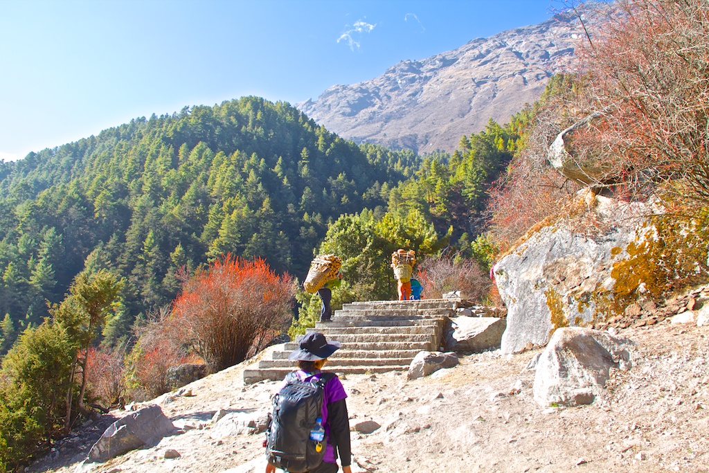 f:id:meltdown_int:20161209114742j:plain