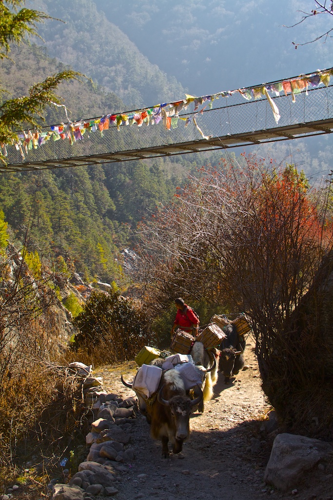 f:id:meltdown_int:20161209114751j:plain