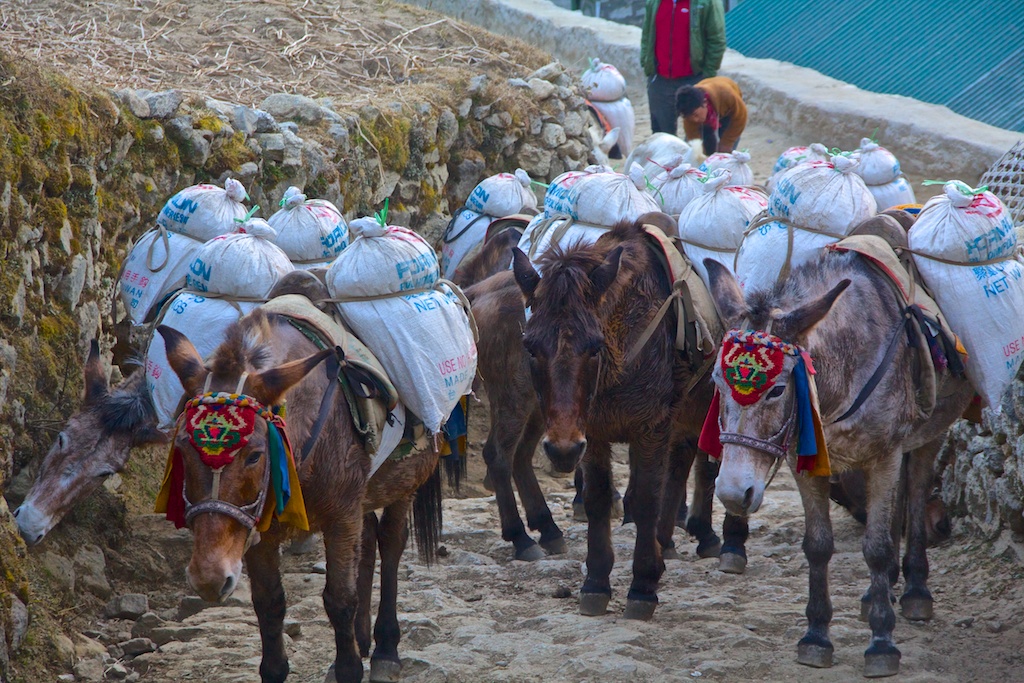 f:id:meltdown_int:20161209114810j:plain