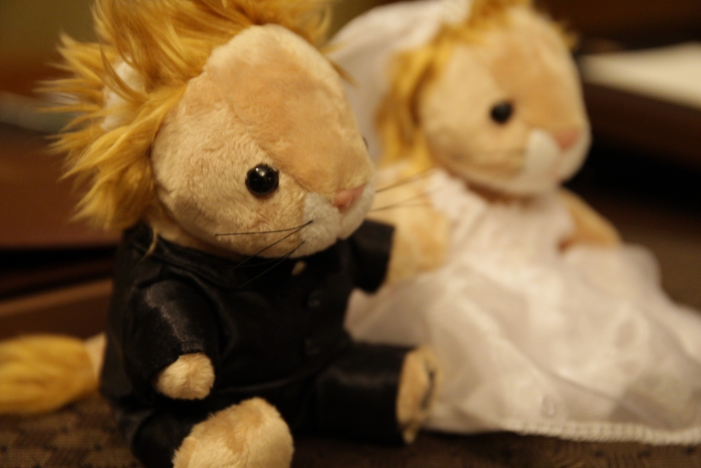 f:id:meltdown_int:20161213150028j:plain f:id:meltdown_int:20161213150028j:plain