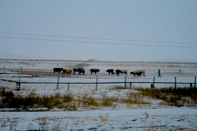 f:id:meltdown_int:20161217124054j:plain f:id:meltdown_int:20161217124054j:plain