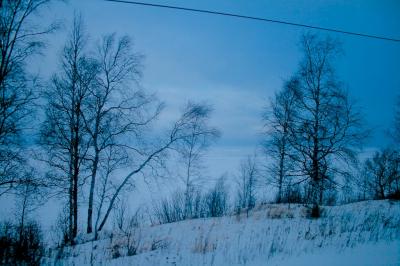 f:id:meltdown_int:20161217131216j:plain f:id:meltdown_int:20161217131216j:plain