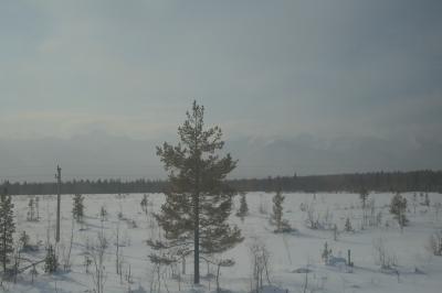 f:id:meltdown_int:20161217131232j:plain f:id:meltdown_int:20161217131232j:plain