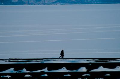 f:id:meltdown_int:20161217131236j:plain f:id:meltdown_int:20161217131236j:plain