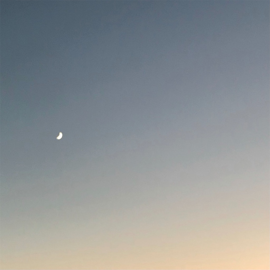 f:id:meltingmoon:20211111235150j:image
