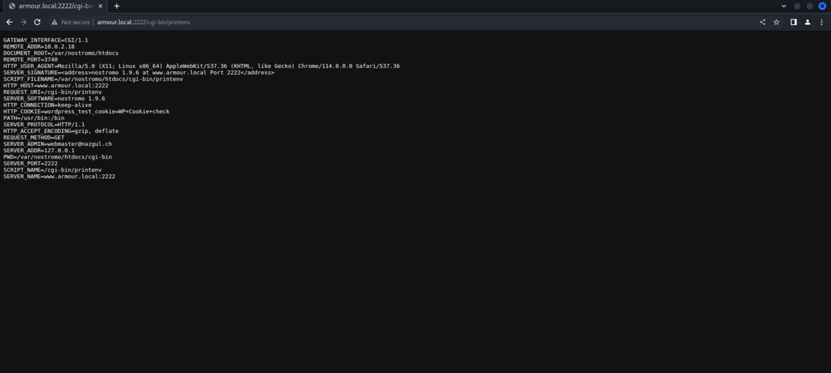 My Web Server を解いたので振り返りとか（writeup を含む） - 溶けたペンギンの雑記