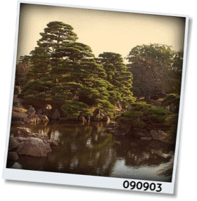 f:id:meltylove:20090903211157g:image:right