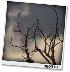 f:id:meltylove:20090910124301g:image:right f:id:meltylove:20090910124301g:image:right
