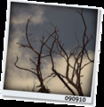 20090910124301