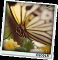 20090919120452