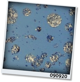 f:id:meltylove:20090920120033g:image:right