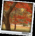 20090921103446