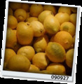 20090927122830