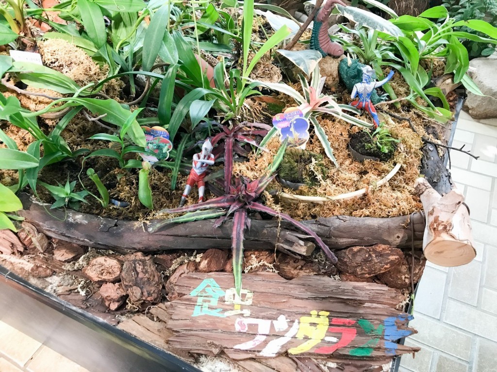 f:id:meltylove:20170921101230j:plain