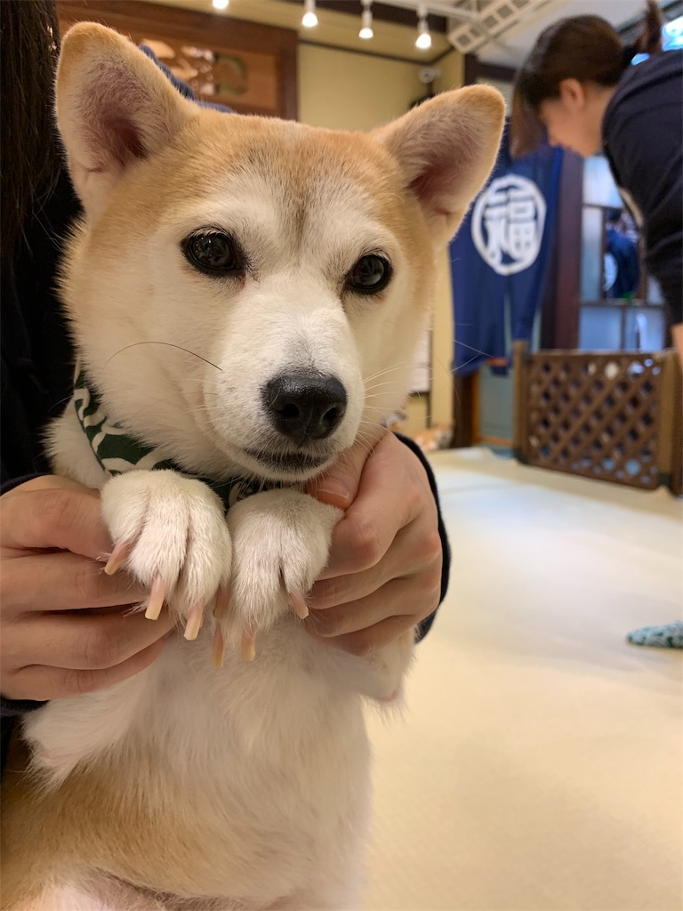 f:id:member-spa:20191022191158j:image f:id:member-spa:20191022191158j:image