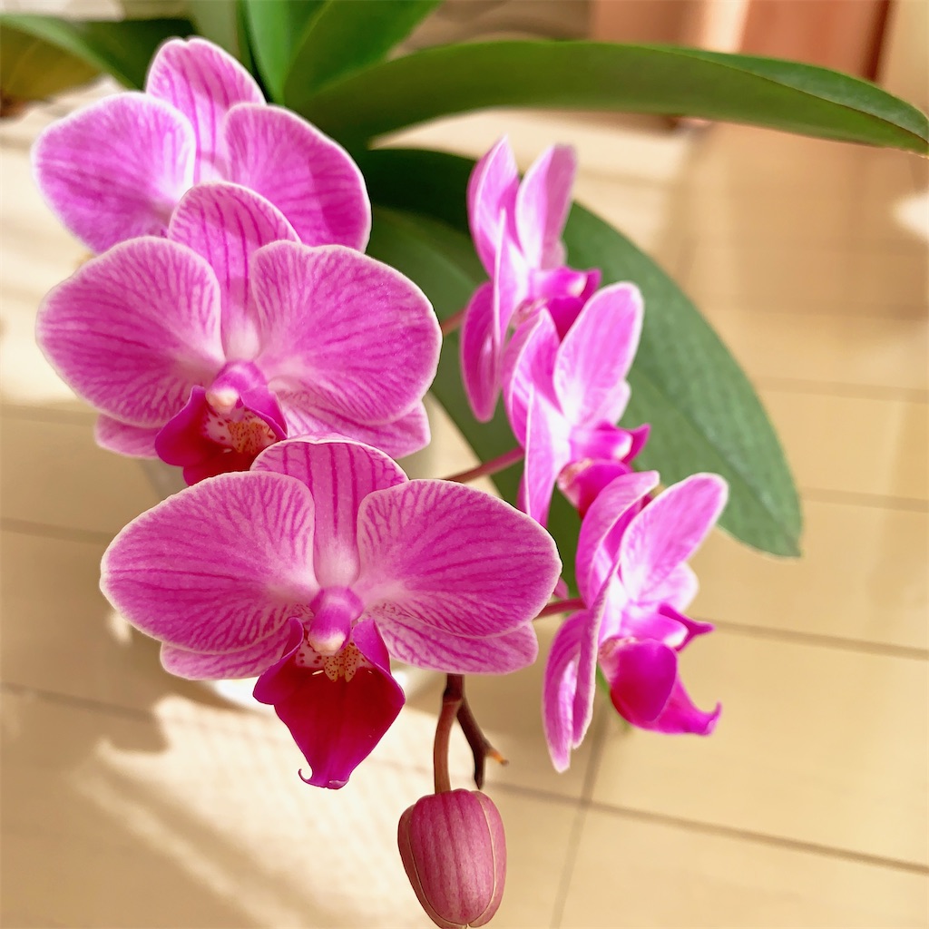 f:id:member-spa:20220324142835j:image f:id:member-spa:20220324142835j:image