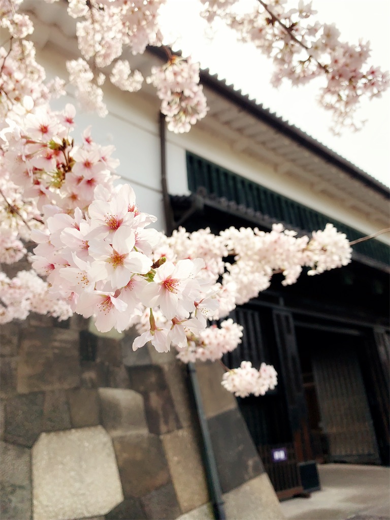 f:id:member-spa:20220411140857j:image f:id:member-spa:20220411140857j:image