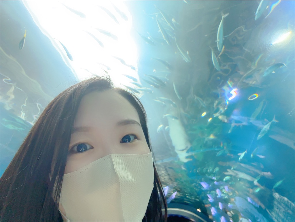 f:id:member-spa:20250423233708j:image f:id:member-spa:20250423233708j:image