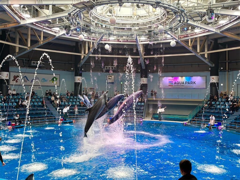 f:id:member-spa:20250423233729j:image f:id:member-spa:20250423233729j:image