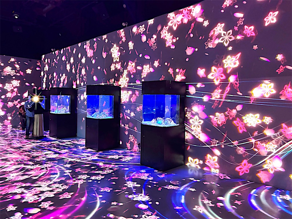 f:id:member-spa:20250423233817j:image f:id:member-spa:20250423233817j:image