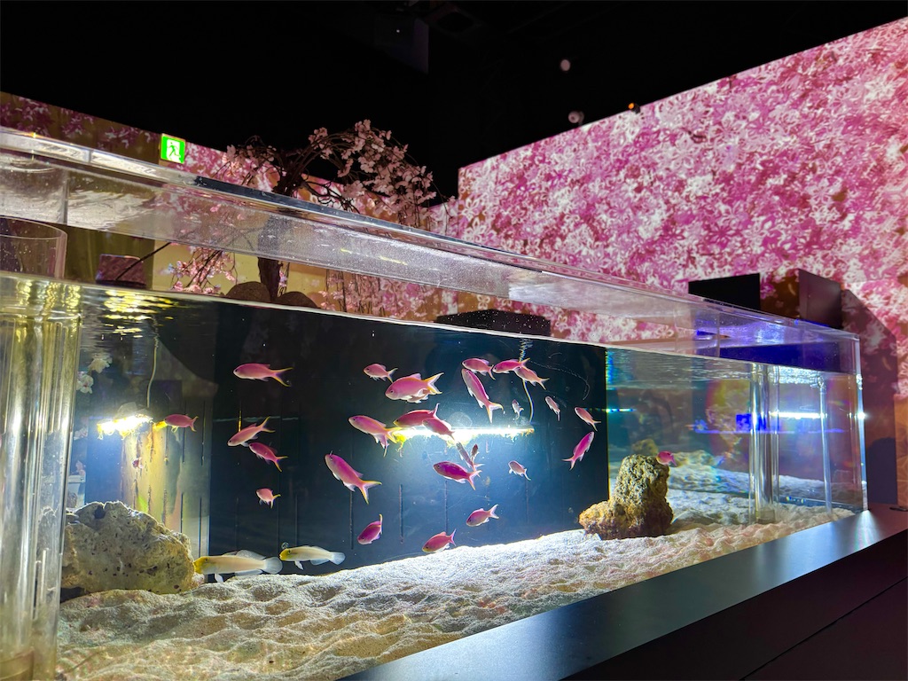 f:id:member-spa:20250423233823j:image f:id:member-spa:20250423233823j:image