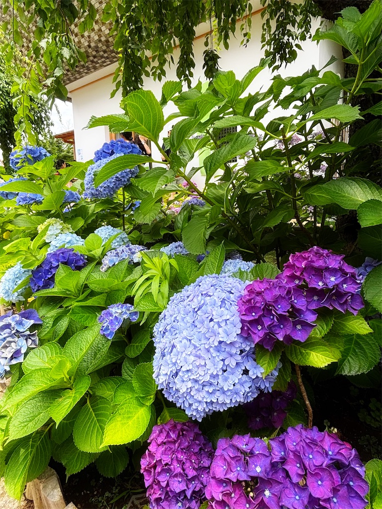 f:id:member-spa:20250619155616j:image f:id:member-spa:20250619155616j:image