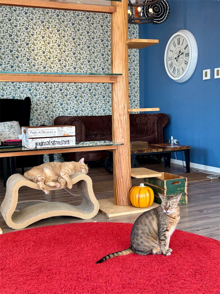 f:id:member-spa:20251031153518j:image f:id:member-spa:20251031153518j:image