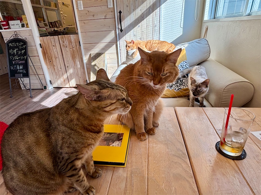 f:id:member-spa:20251031153704j:image f:id:member-spa:20251031153704j:image