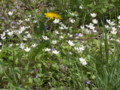 20120516131452