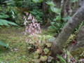 20120620165023