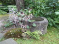 20120620165031