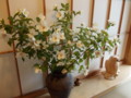 20120624061324