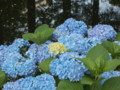 20120629182835