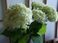 20120701081142