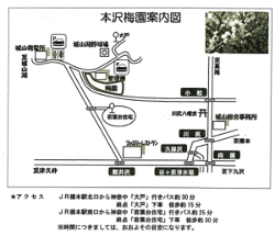 本沢梅園の地図