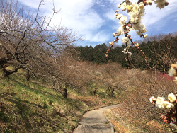 通路の状態