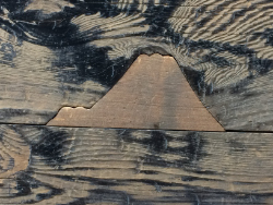 富士山の埋め木1