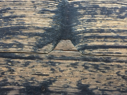 小富士の埋め木