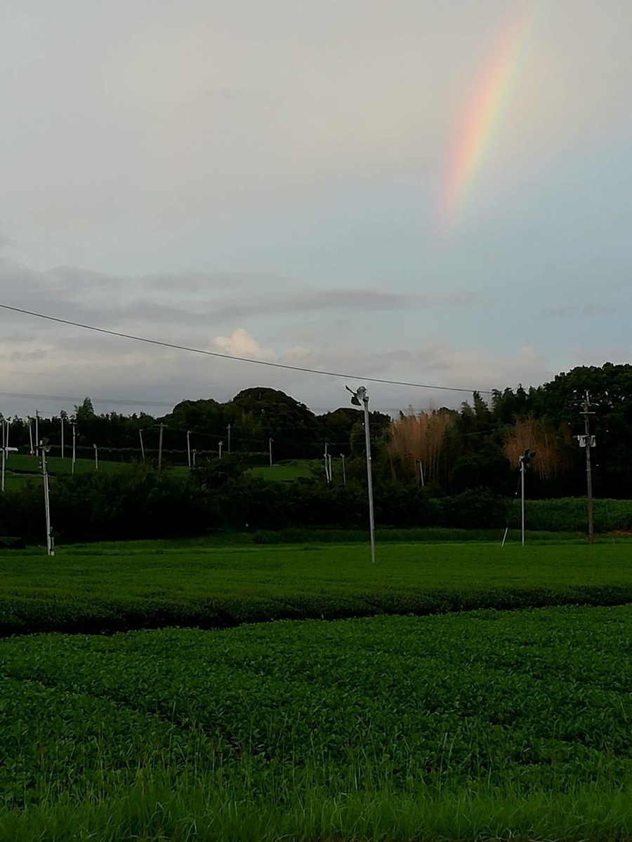 田舎の虹