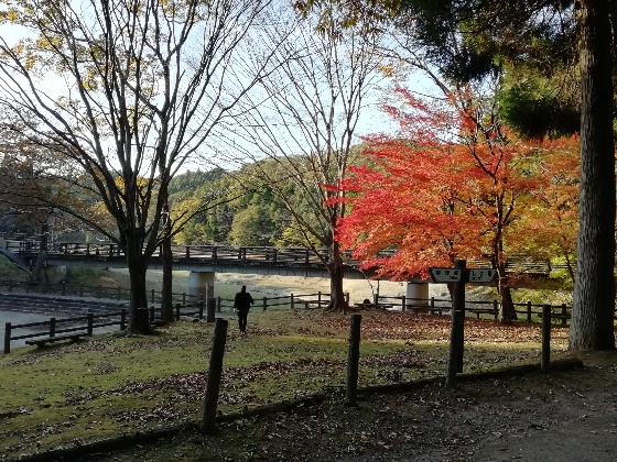 秋の北山キャンプ場1