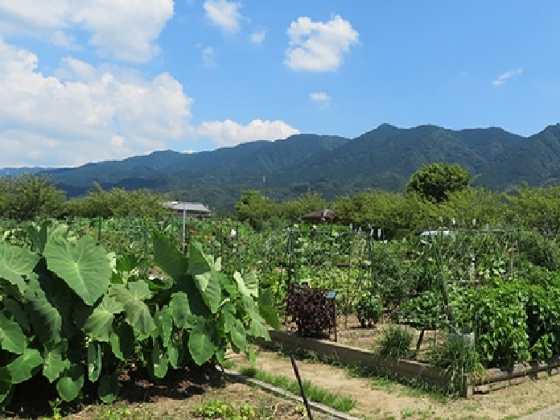 久留米ふれあい農業公園キャンプ場　市民ふれあい農園　写真　画像　福岡県久留米市