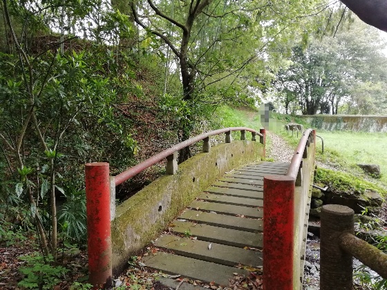 森林　赤い橋　マイナスイオン　画像　写真　癒し　