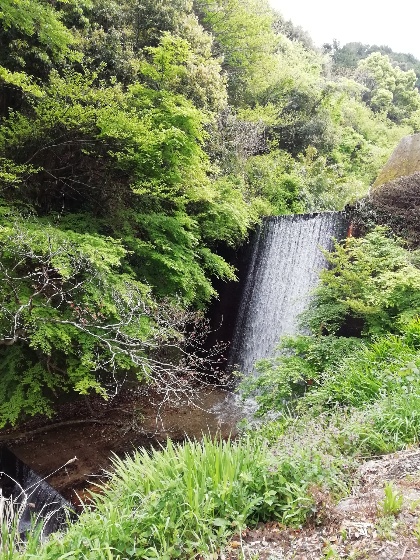 滝　美しい　画像　森林　写真　マイナスイオン　避暑地　涼み　