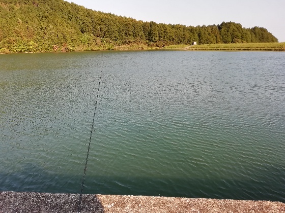 釣り　池　ブラック　バス　写真　画像　魚　楽しい　大きい　ルアー　フィッシング