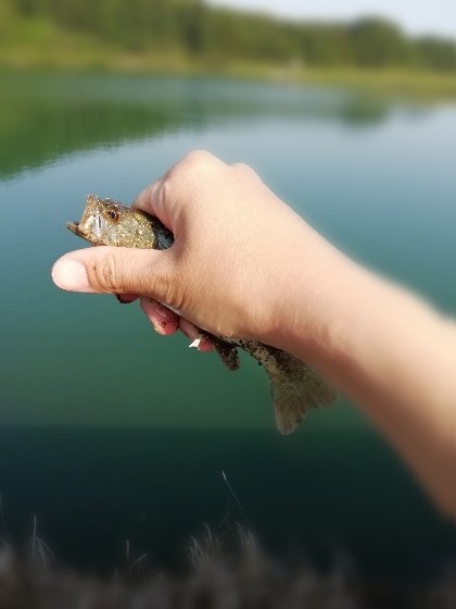 ブラックバス　釣り　ルアー　小さい　魚　フィッシング　写真　画像